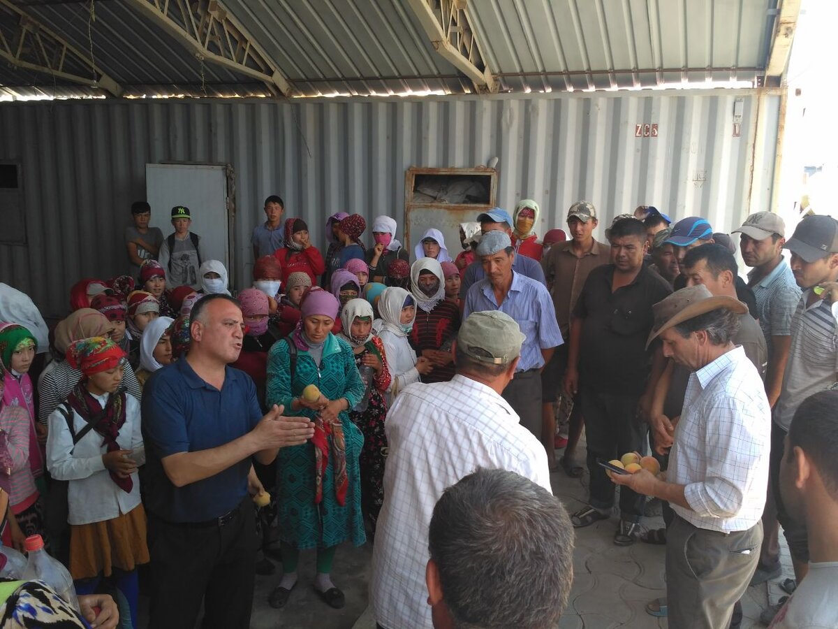 иностранный специалист проводит инструкцию для сборщиков урожая, после которой народ пойдёт собирать на солнце в +40 ºС, работа пыльная, в прямом смысле слова.