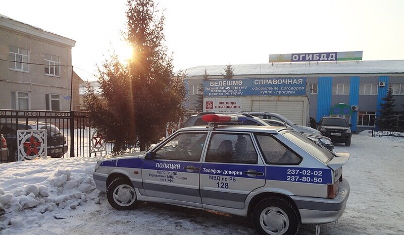 Фото: Владимир Парфиров