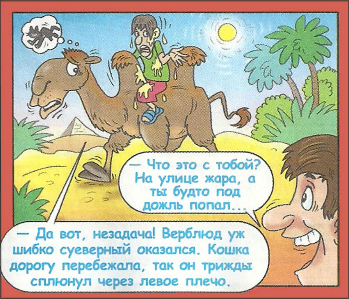 Анекдот про верблюда. Анекдоты про животных. Детские анекдоты. Анекдоты для детей. Детские анекдоты про животных.