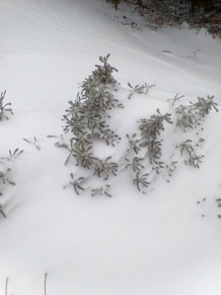 в любую погоду мы ждем вас в Крыму!