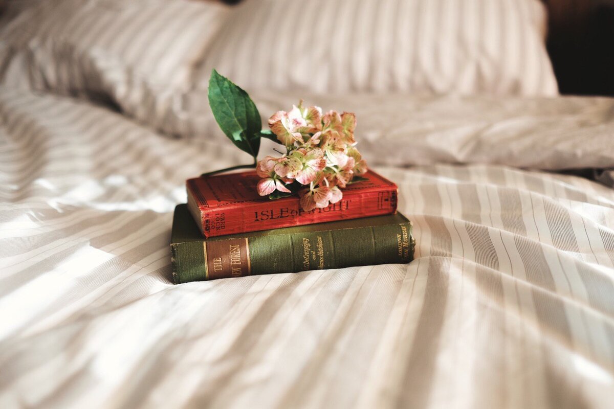 Photo by Annie Spratt on Unsplash