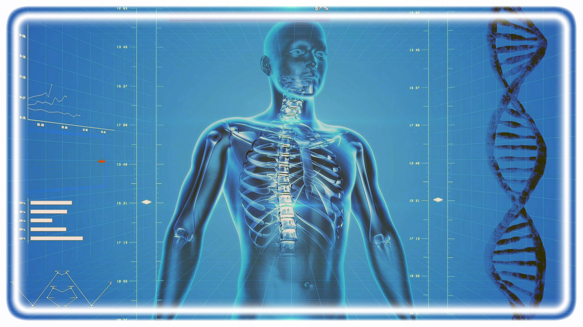 Человек, Иллюстрация: pixabay.com