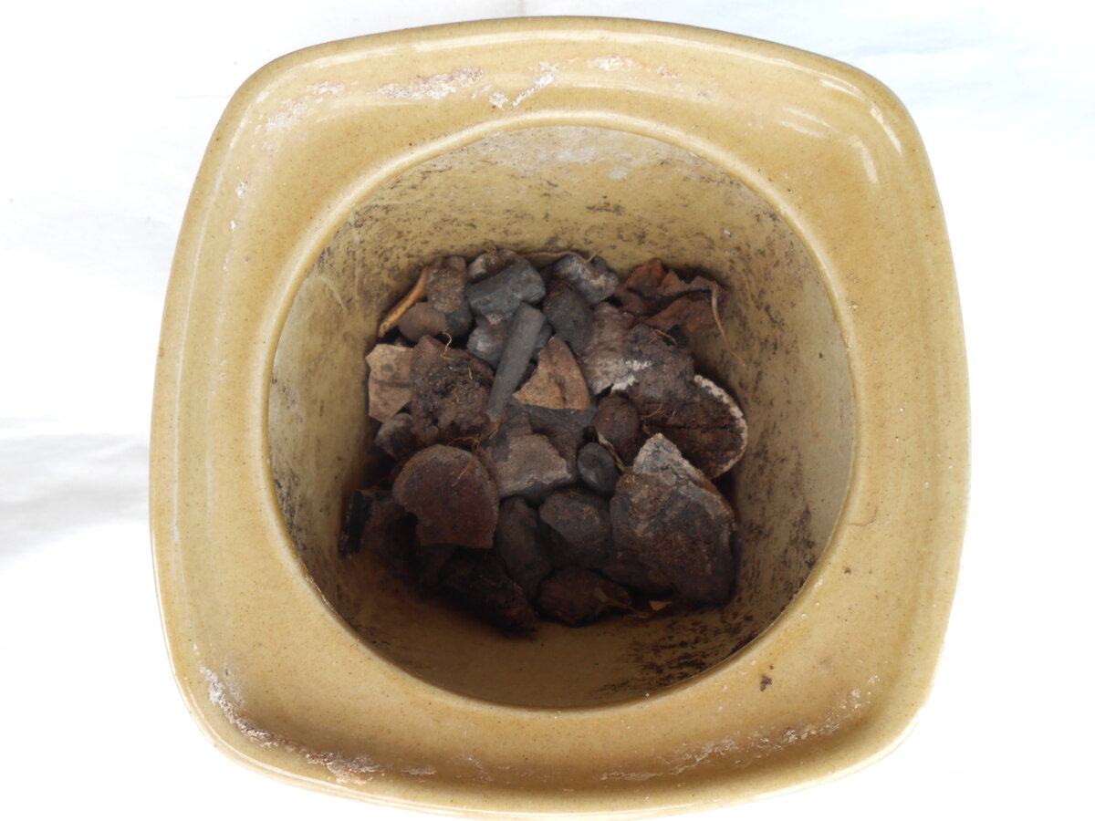 Дренаж в горше для рассады