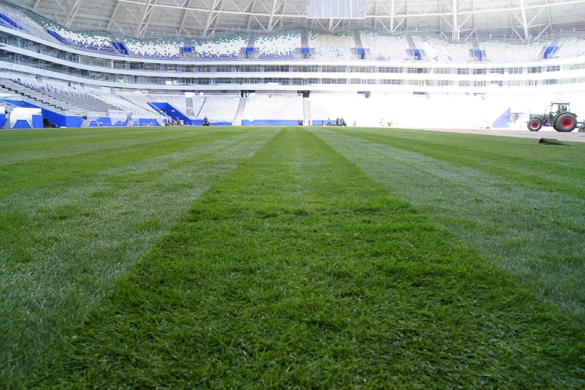 Самара Арена поле. Самара футбольное поле. Самара Арена тренировочное поле. Открытые футбольные поля в Самаре.