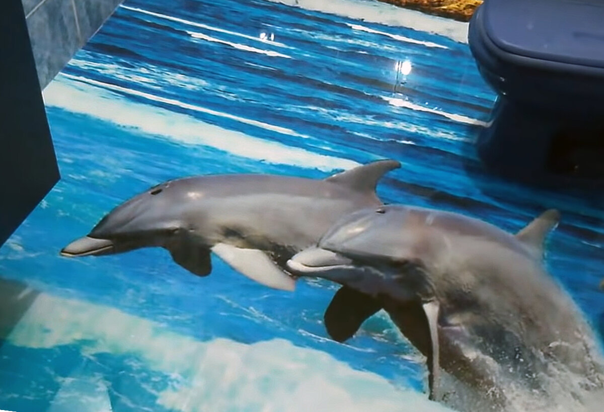 3d-пол в сан узле.