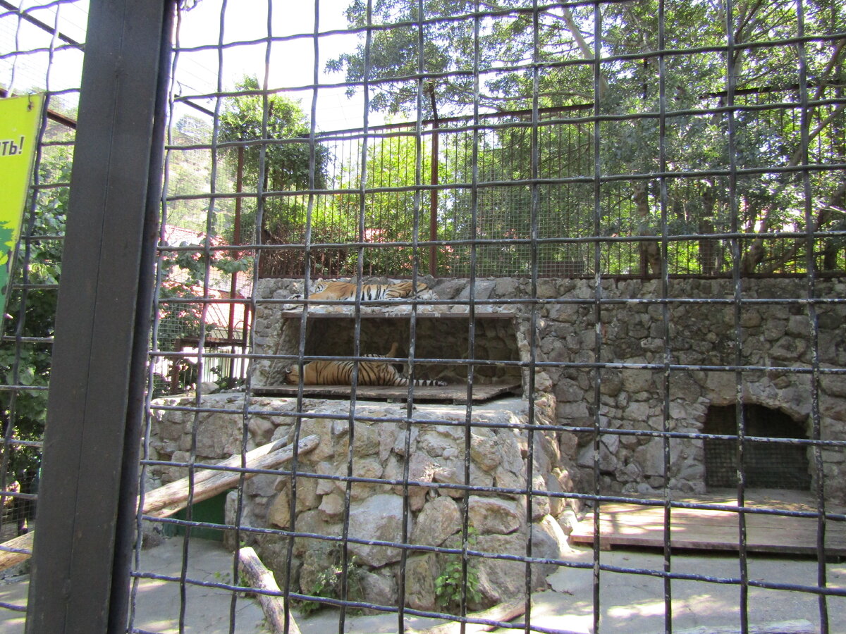 Большие вольеры для хищников