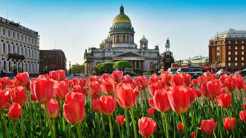 8 марта санкт петербург