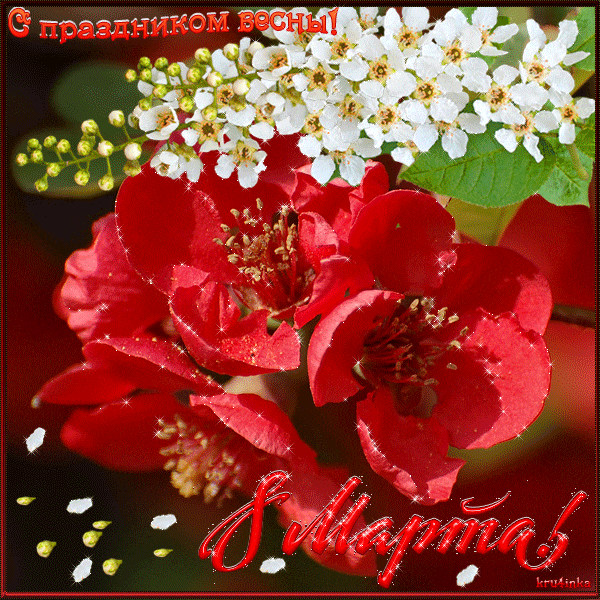 Фото из интернета.