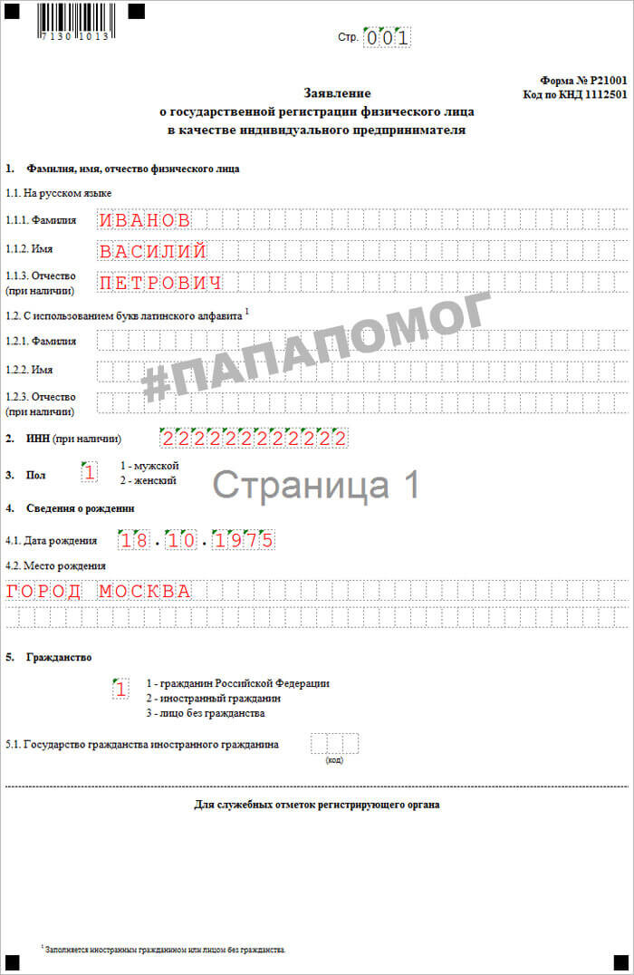 Пример заполнения формы р21001. Лист 1
