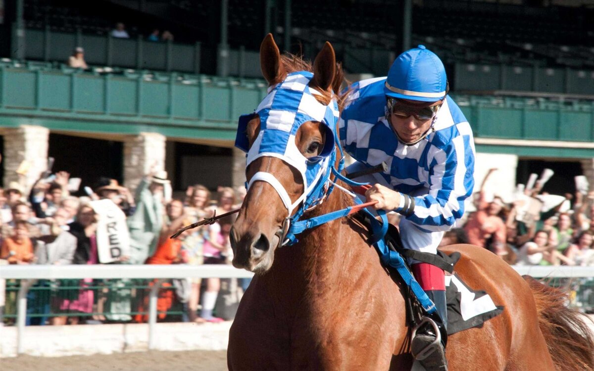 к/ф Чемпион 