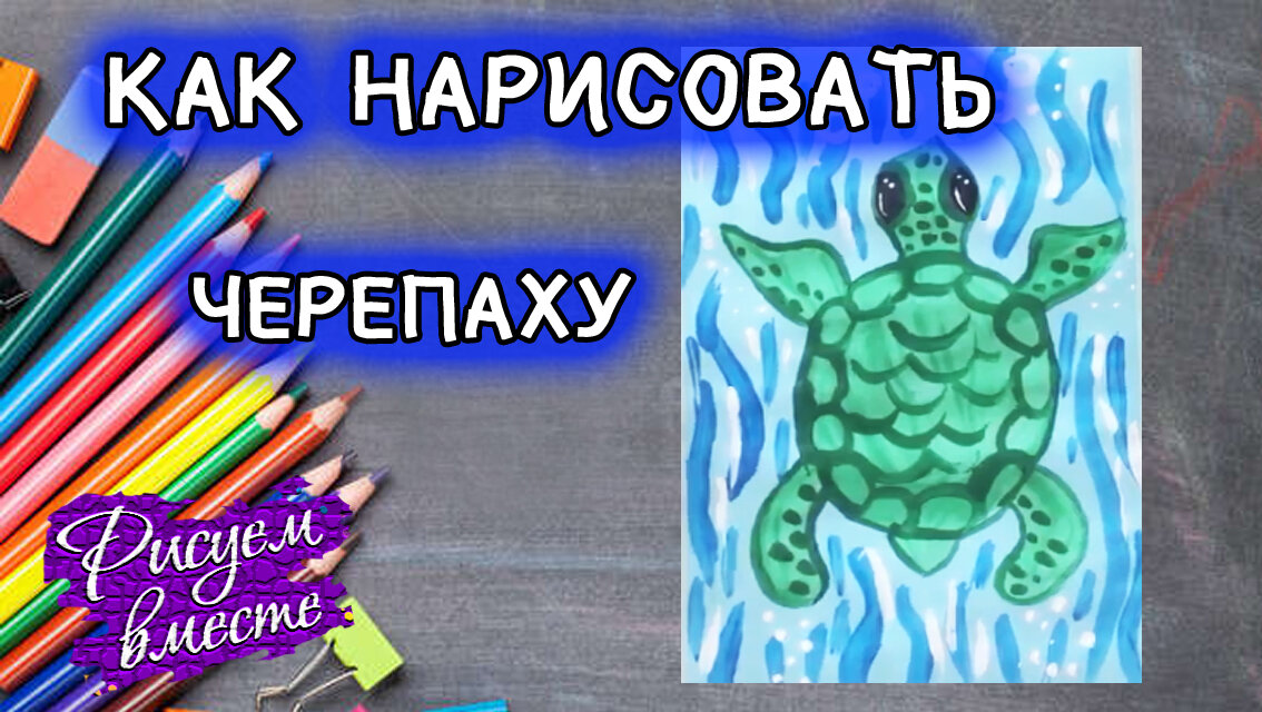 Как нарисовать черепаху?