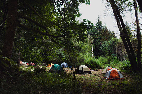 Автор фотографии -Matt Houlemard 