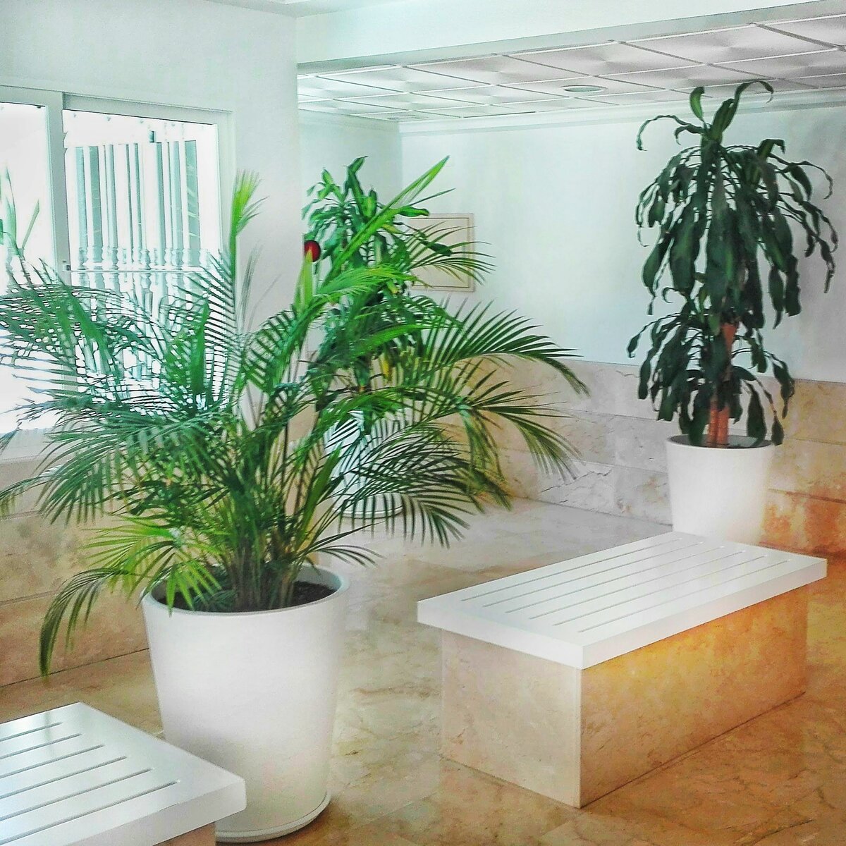 подъезд обычного дома dehesa de campoamor