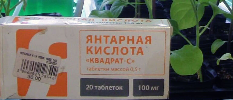 Как полить рассаду янтарной. Янтарная кислота 400 мг.для растений. Янтарная кислота для рассады. Янтарная кислота для растений и рассады. Подкормка рассады янтарной кислотой.