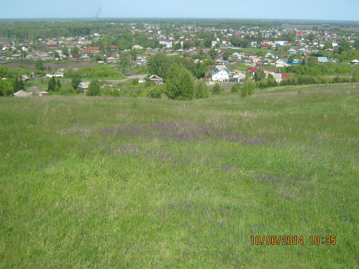 Вид на с. Сростки. Фото из личного архива.
