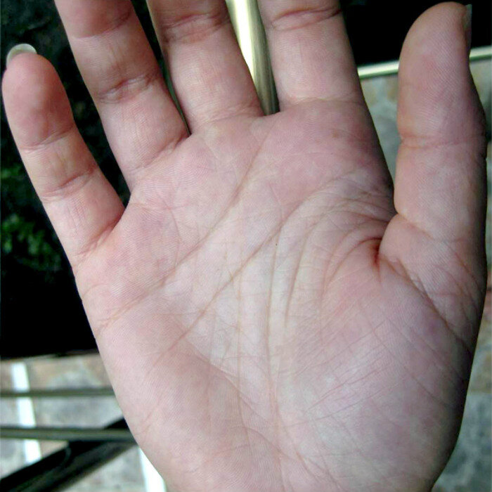 Фото: яндекс