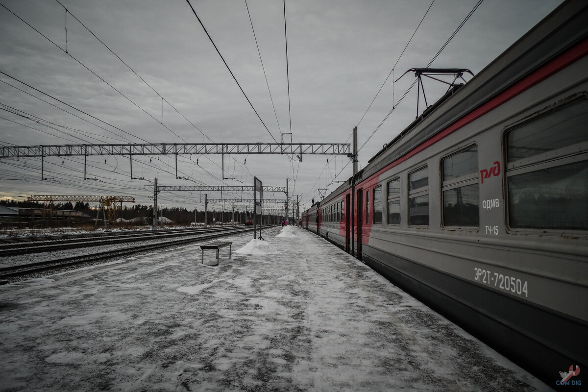 Поехали в деревню, а нашли оставленный в лесу трелёвочный трактор ТДТ-55 |  ComDig | Urban Exploration | Дзен