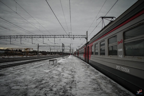 Поехали в деревню, а нашли оставленный в лесу валочно-трелёвочный трактор ТДТ-55?