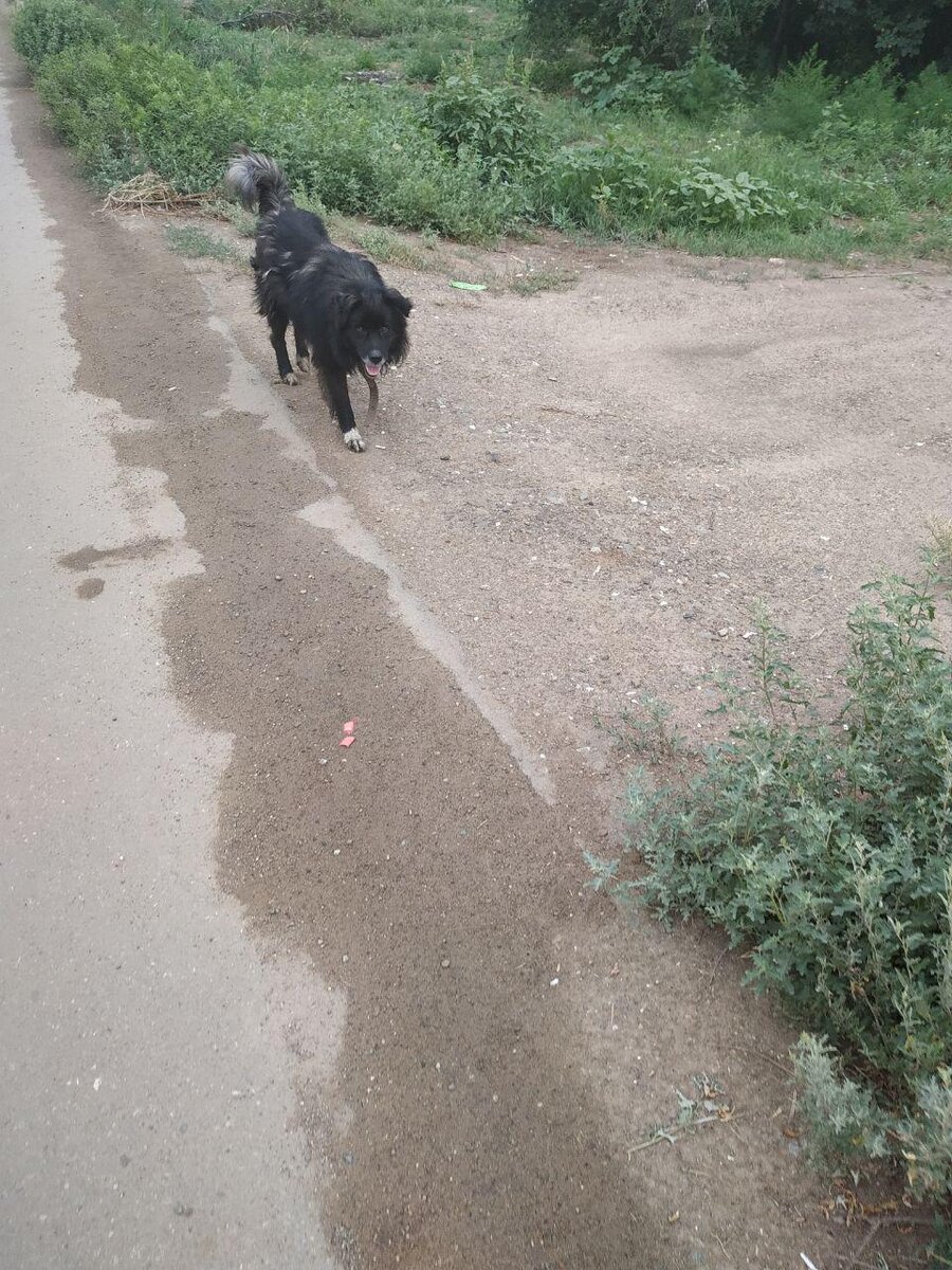 Причина ссоры с моей подругой. 