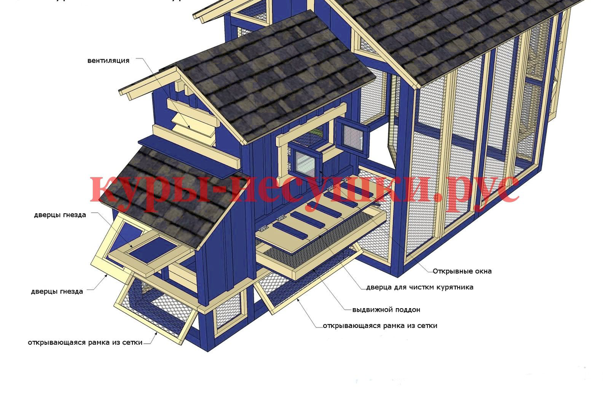 Проект курятника на 10