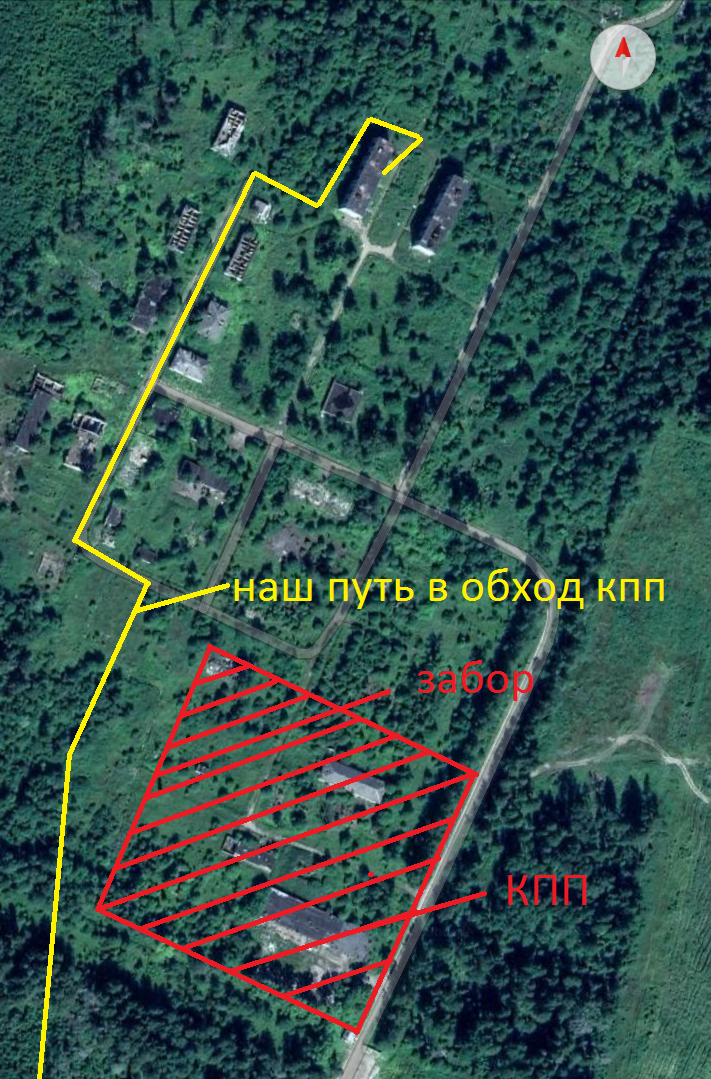 Фото автора. Июль 2019 г.