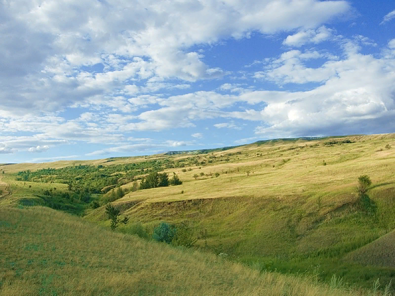 Холмистая полузакрытая пересеченная местность. Курская равнина.