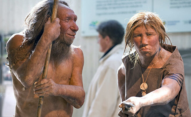                                      Неандертальцы, музейная экспозиция