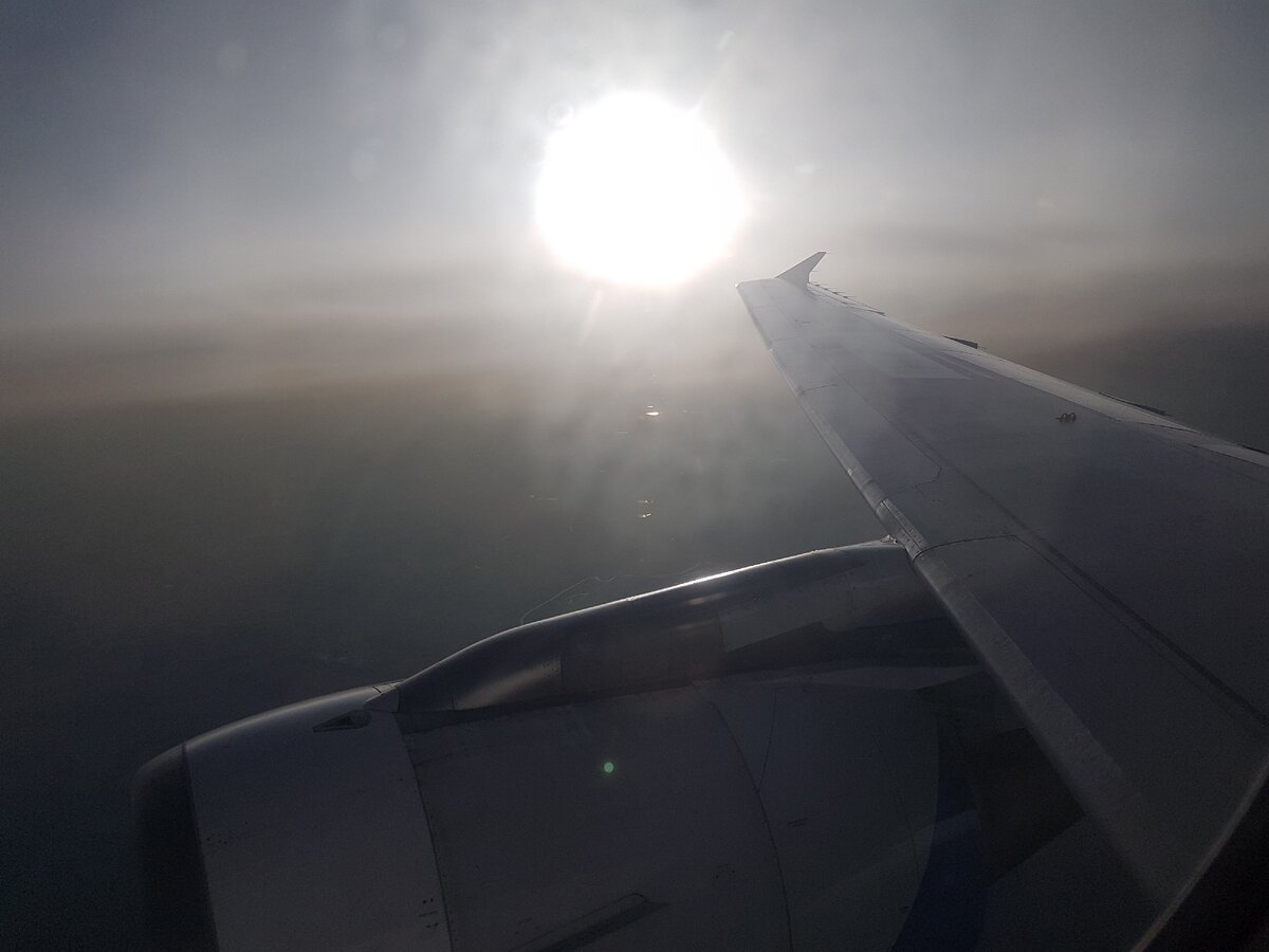 Винглет в виде птички - "фирменный знак" самолётов Airbus семейства A320