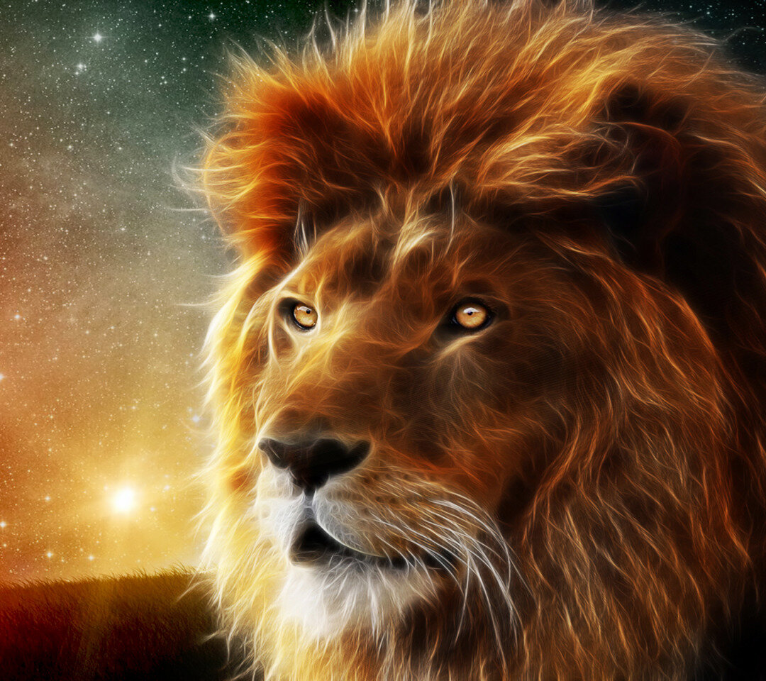 лев  23 июля - 23 августа