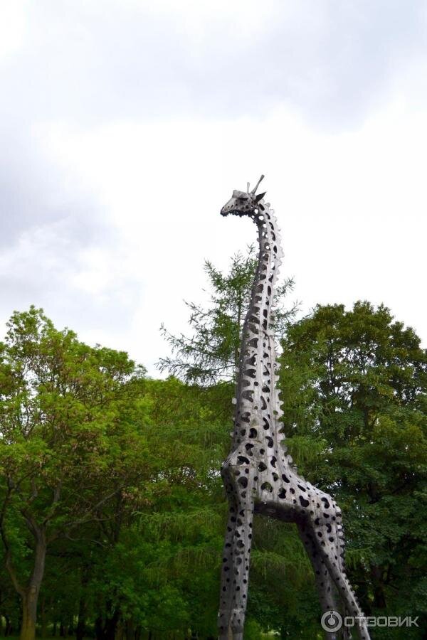 источник https://i5.otzovik.com/2016/08/25/3692076/img/66902580.jpeg