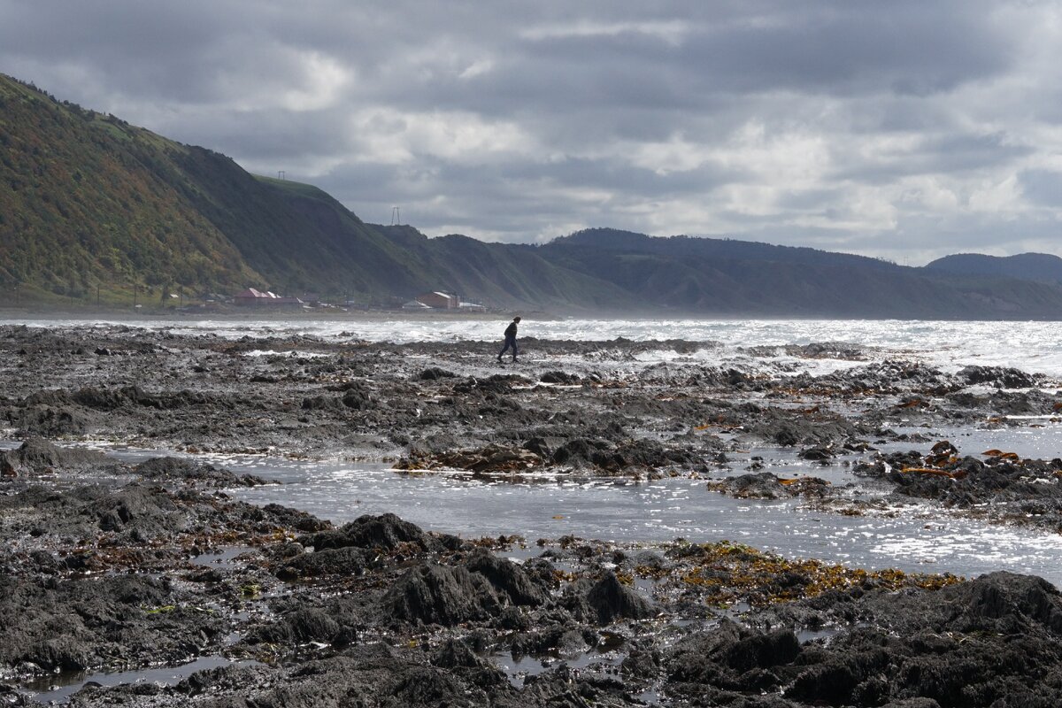 Море располагает к одиночным прогулкам.