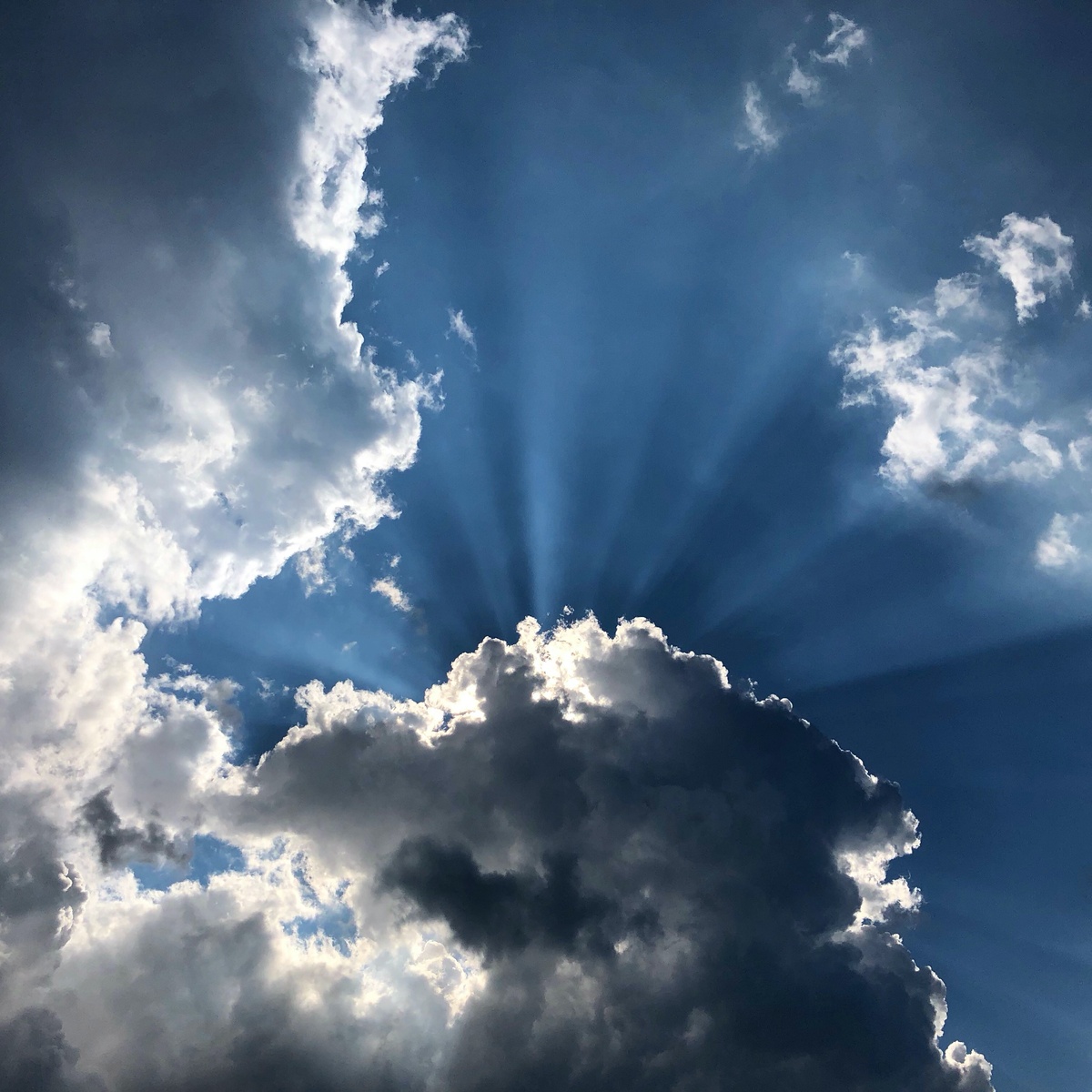 После грозы