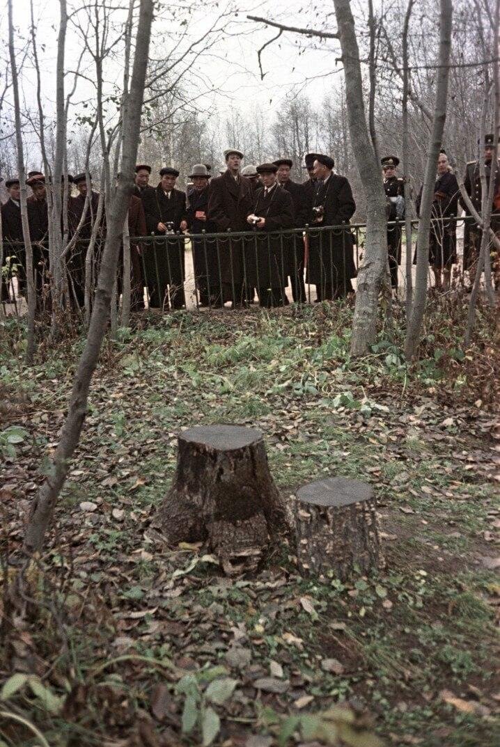 1960 год, станция Разлив под Ленинградом; экскурсия к пням, на которых летом 1917 года сидел Ленин.