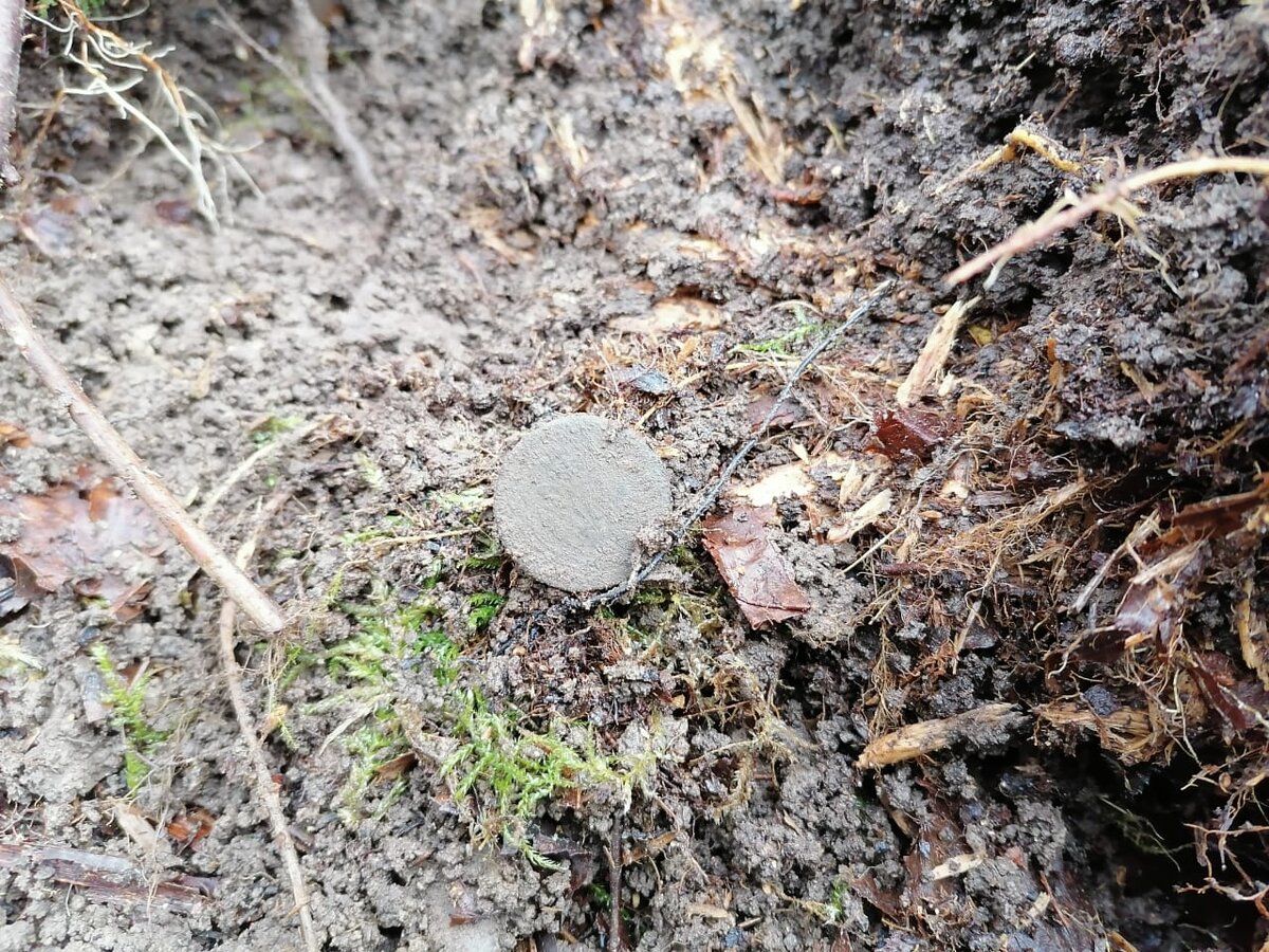 Коробки пороховые.