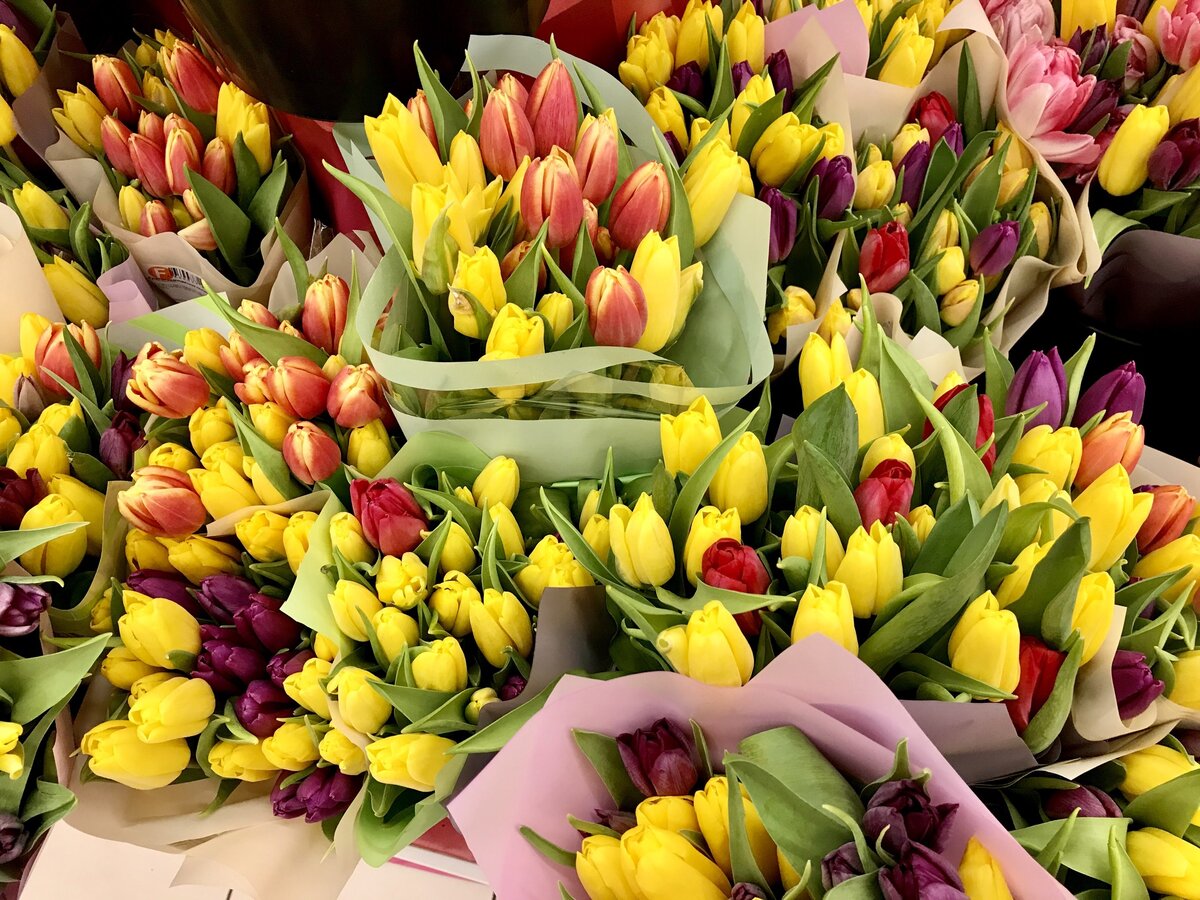 Не смогла пройти мимо витрины с любимыми тюльпанами. Дарите женщинам цветы, не ищите для этого повод.