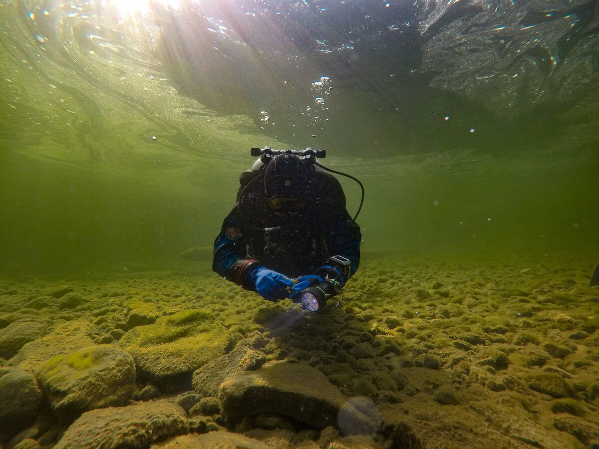 1.5 м. Мы начинаем погружение на берегу посёлка Яйлю, почти напротив гостевого дома.