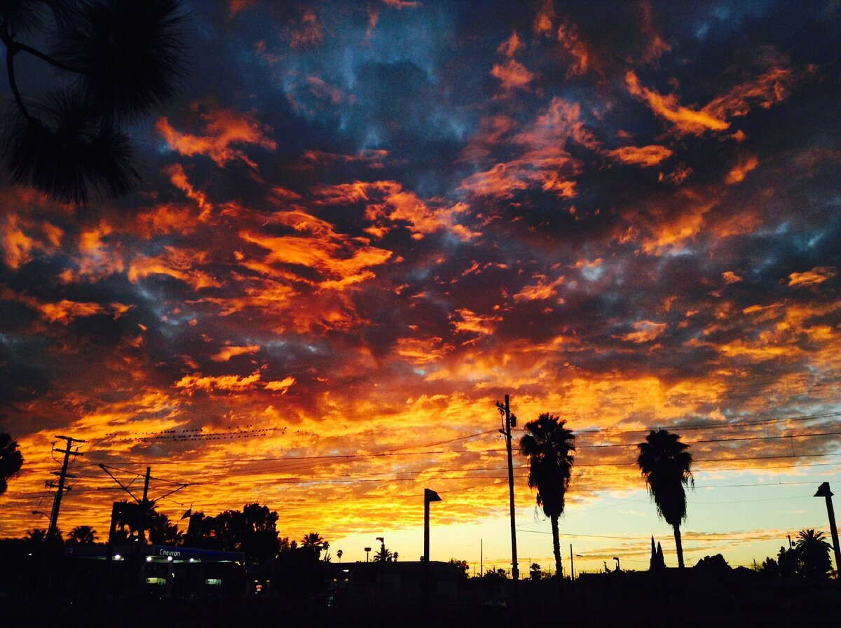 Комптон, Лос Анджелес – родина многих выдающихся рэп-исполнителей западного побережья.