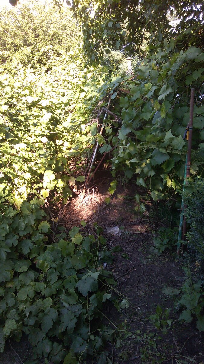 и мне предстояло это убрать... не имея на то время ни болгарки ни ножовки... было только полотно по металлу столбики кстати ржавые сдали на металлолом почти на 1000 рублей...