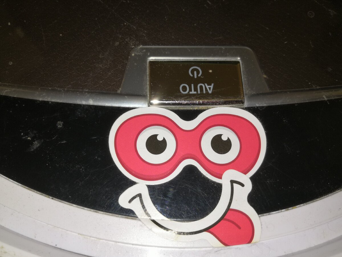 Как вам морда