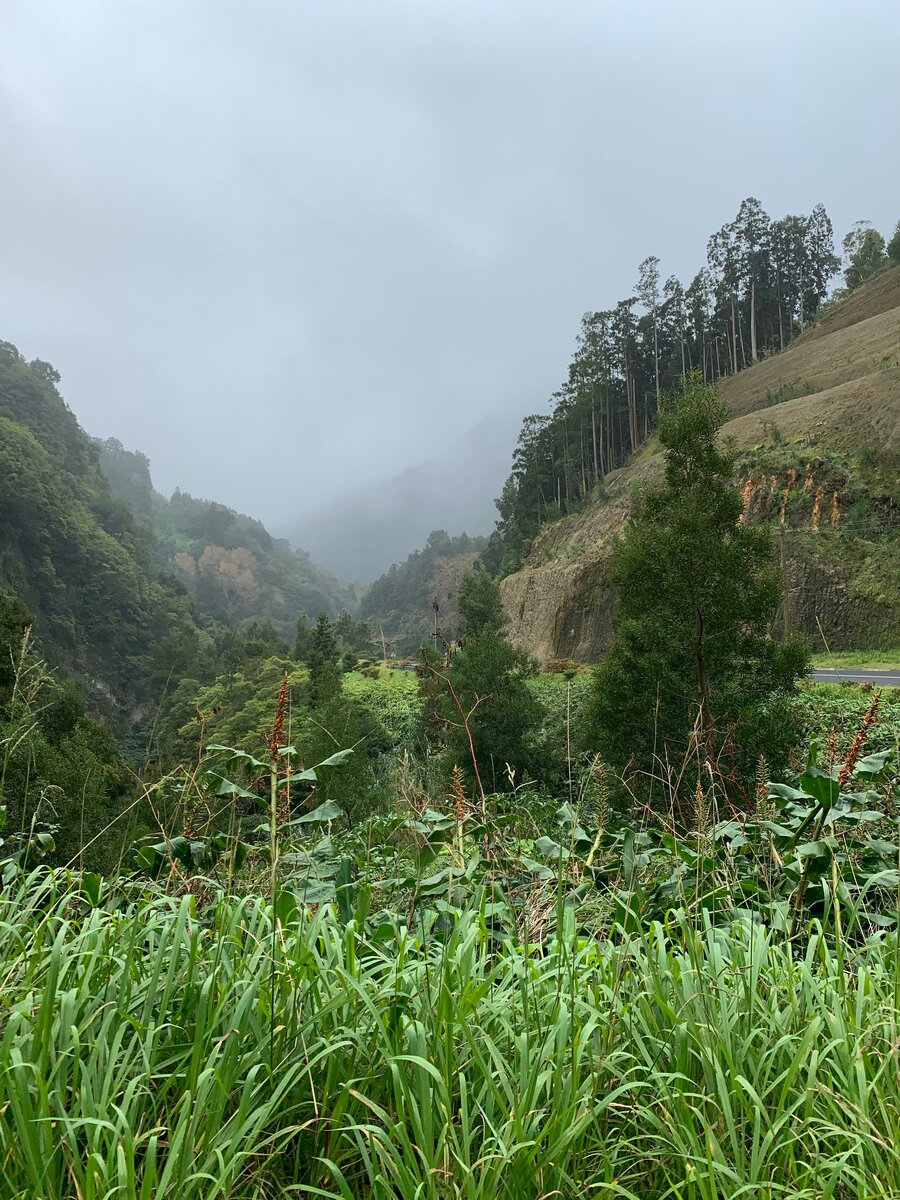 Путь по трассе к водопаду