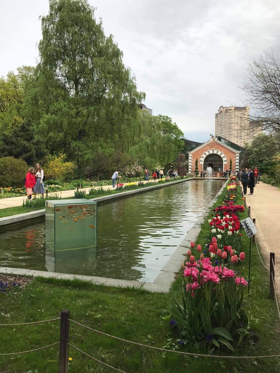 Рыбки в кубе добавляют гармонии