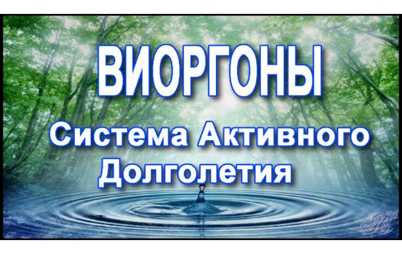 "Тем, кто обращается непосредственно ко мне, я обычно предлагаю три варианта приёма: 1й вариант: закапывать один виоргон в нос и одновременно другой - под язык по 3 - 4 раза в день каждый с интервалом не менее (то есть больше или равно) 5 минут между разными виоргонами. Уточняю: одновременное закапывание в нос/ одновременно под язык - исключительно для экономии времени: можно закапывать только в нос или только под язык.
Вариант 2: 8-10 капель виоргона накапать в 0,5 стакана воды и пить не на сытый желудок, то есть минут за 20 до еды или через 1,5 часа после еды. Если пить между едой, то следует соблюдать интервал не менее чем 40 минут. Утро лучше начинать с имунных виоргонов, или виоргона 1, а вечером принимать то, что связано с печенью.
Ну и вариант 3: комбинировать. Мне часто говорили: "я выбираю вариант 1"... Уточняю: сегодня можно попить, завтра - покапать в нос/под язык, послезавтра - опять покапать, потом опять попить: здесь человек сам определяется как ему удобно.
Один и тот же виоргон/виофтан ни к чему употреблять чаще чем раз в час, хотя если употребить - ничего страшного не будет.
И по поводу сколько капель капать. Я указал количества, которые всегда назначал сам. Но недавно мы обнаружили, что вполне допустимо увеличение концентраций, при этом виоргоны становятся более "скоропомощными".
Думаю, что предложенные Вами три капли (Казаром) - это маловато...☺️