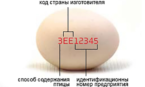 Маркировка куриных яиц CoffMachines.ru