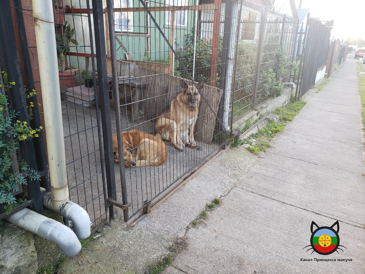 Улицы нашего района на острове Кальбуко