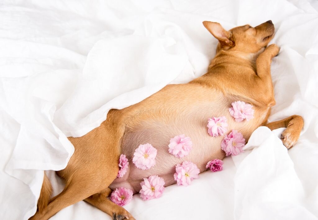 Изменения поведения: