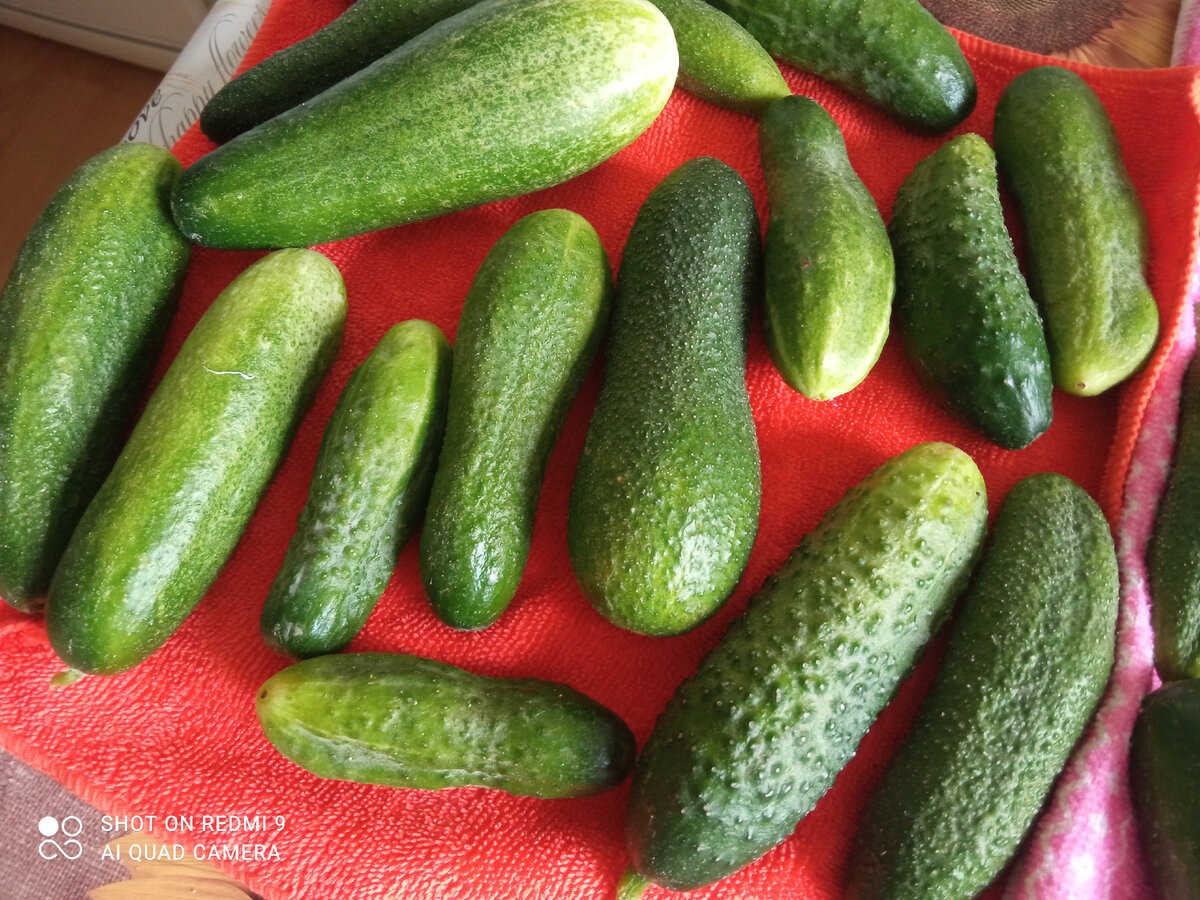 фото личное