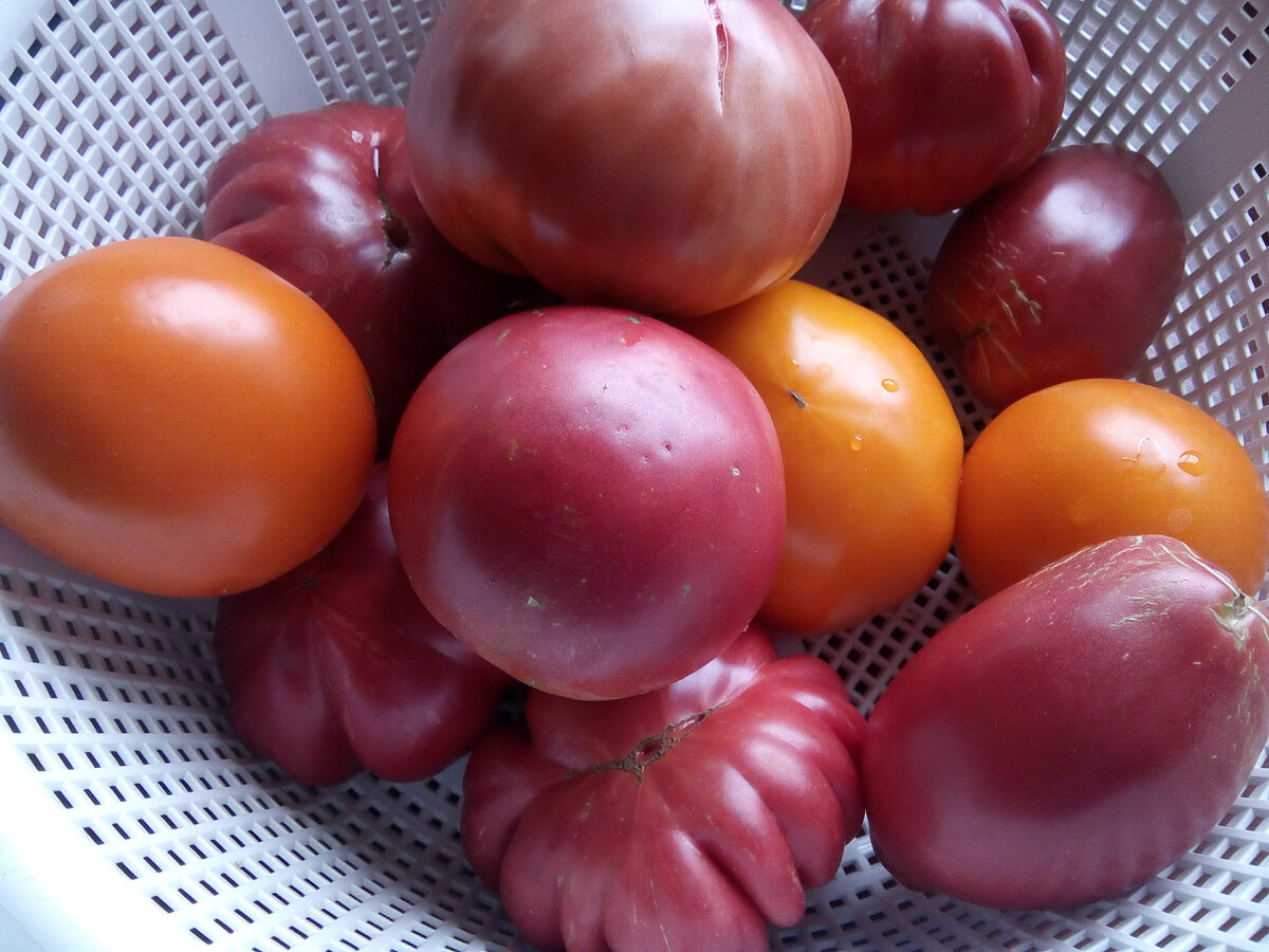 Мизерная доля, на один салат