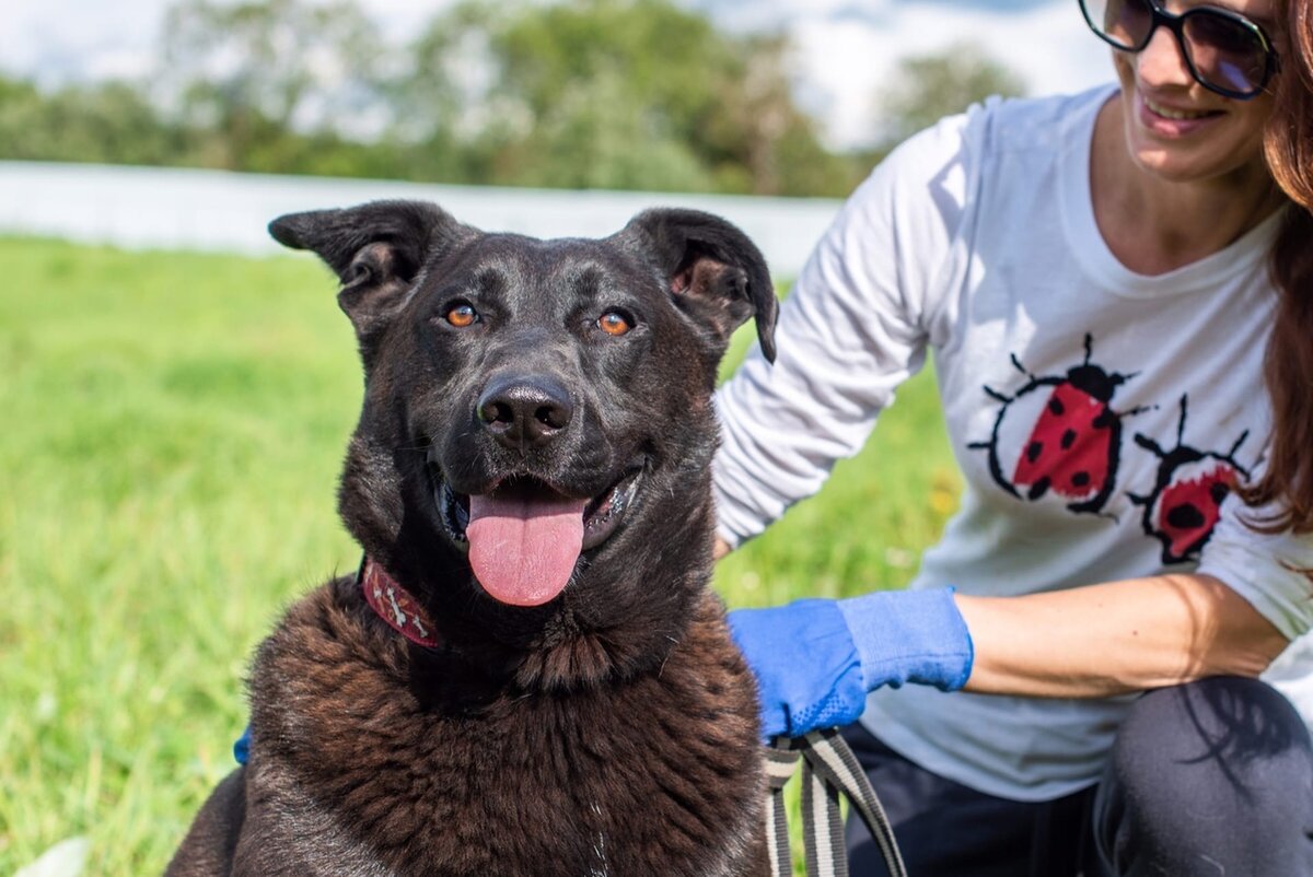 Пират и Оля