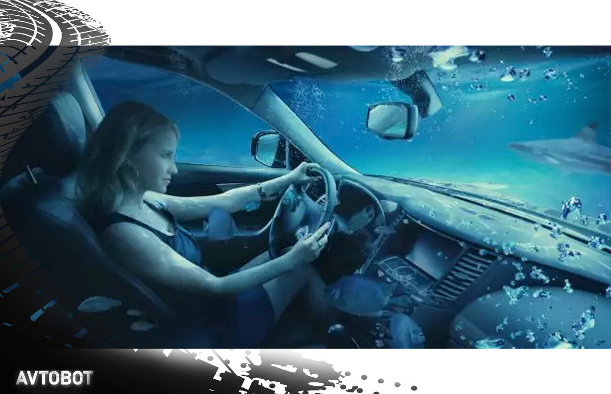 Не паникуйте. Фото в свободном доступе