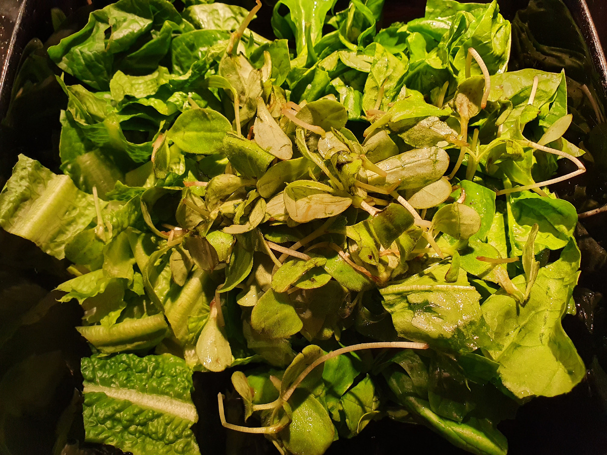 Зелень с маслом и лимонным соком.